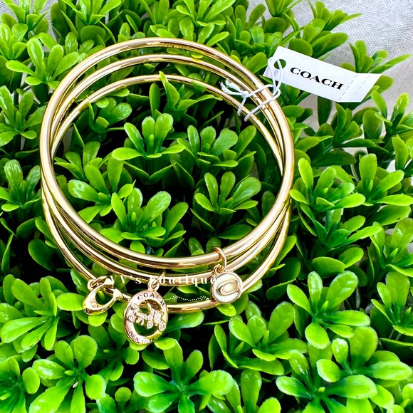 NWT Coach Horse And Carriage Bangle Set Gold Chalk F76466 SOLD OUT RARE - Picture 2 of 3
